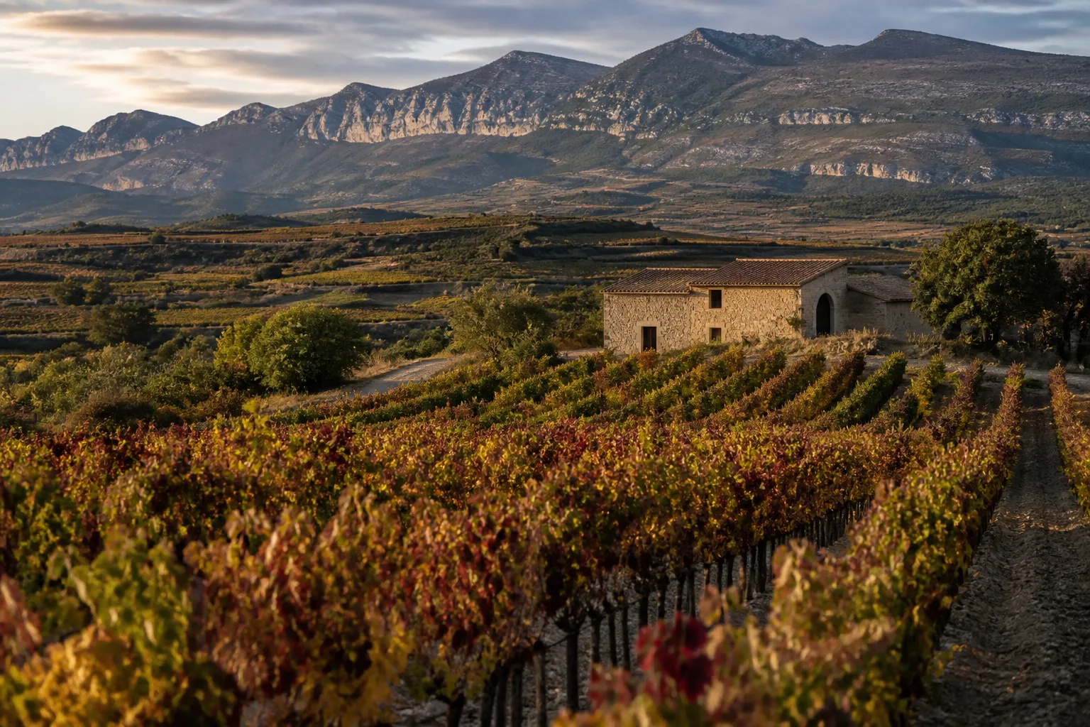 Paisaje representativo de La Rioja